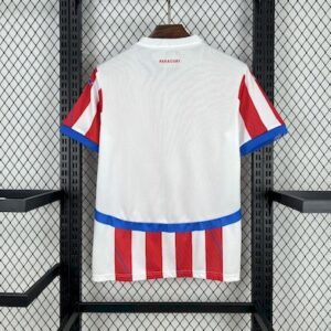 Paraguay 202425 Home Jersey - Image 3