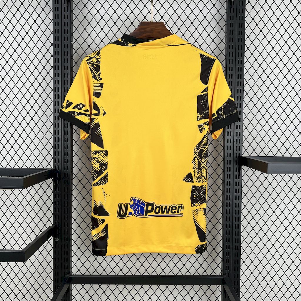 Inter Milan 202425 Third Jersey