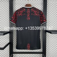 168540d40fa048b6a21f7daf1bcffd06 Barcelona 202425 Red Lion Jersey