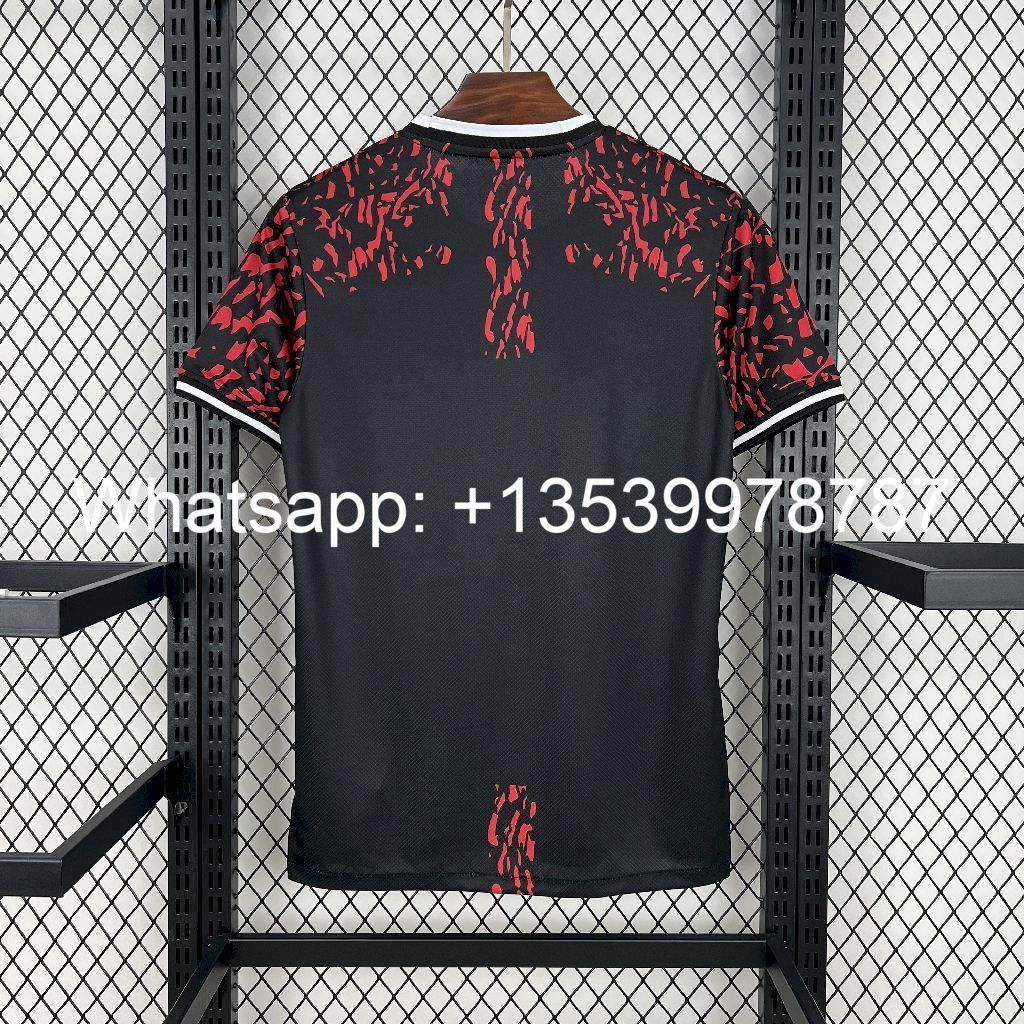 168540d40fa048b6a21f7daf1bcffd06 Barcelona 202425 Red Lion Jersey