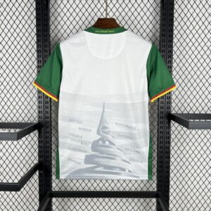 Cameroon 2025 26 Third Jersey