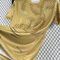 Real Madrid 2025-26 Training Gold Jersey
