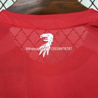 SC Freiburg 202425 Home Jersey