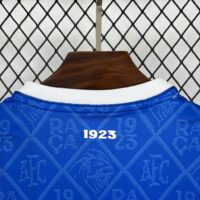 Avai 2025-26 Home Jersey