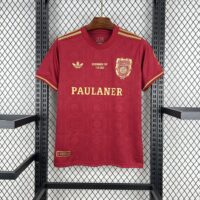 3c754316cb6940b6bf7ff4c4cf8e688e Bayern Munich 202425 125 Anniversary Beckenbauer Cup Jersey