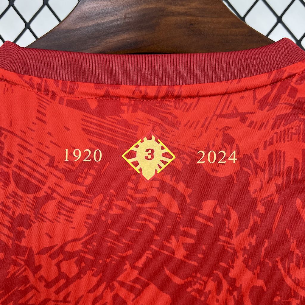 3d2cf51c798646f58a39bf1e705e8488 Spain 202425 Red special edition Jersey