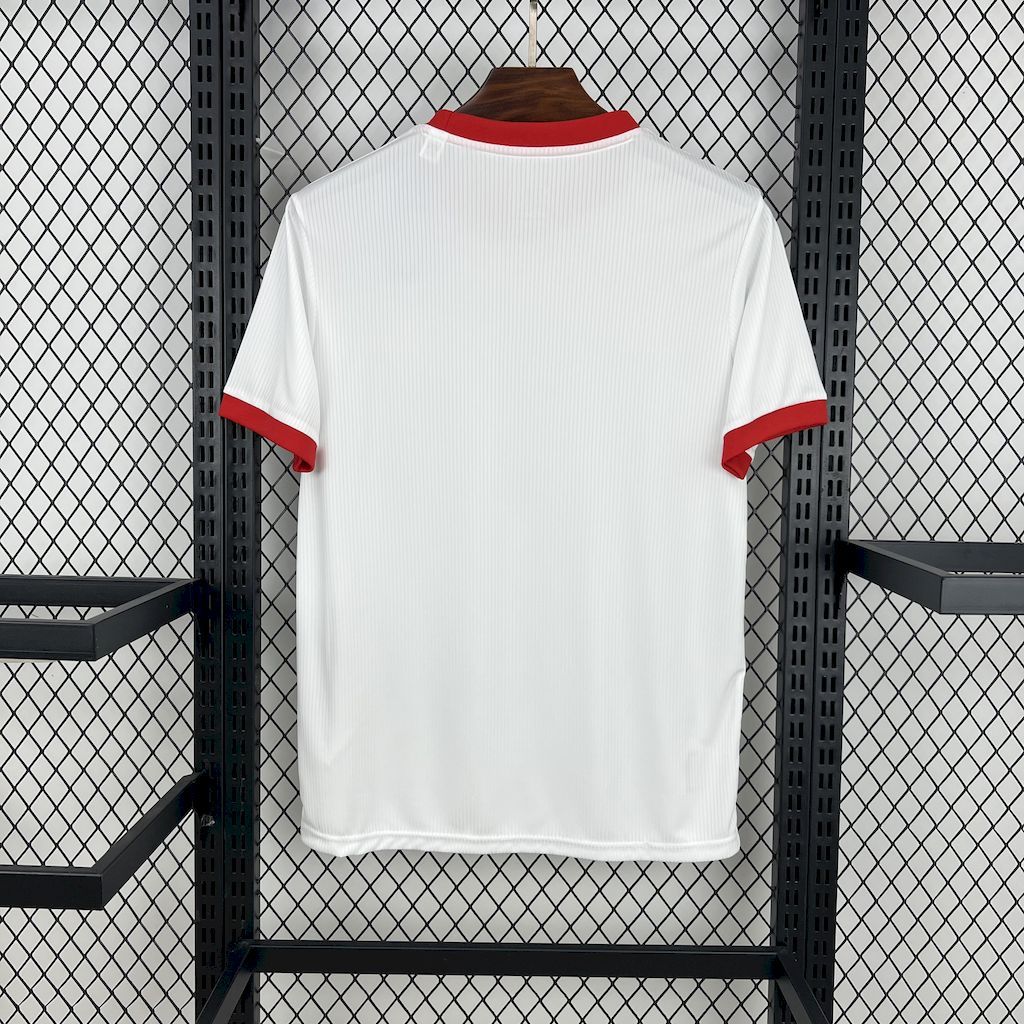 4672b81e99ce4177bd973b1c213a19ef Benfica 2025-26 Anniversary Edition Jersey
