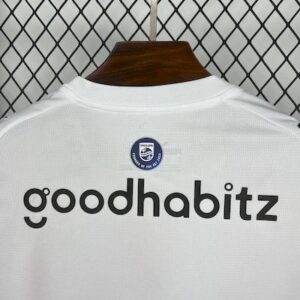 PSV Eindhoven 2025 26 Home Jersey