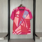 2025-26 Flamengo Goalkeeper Pink Jersey