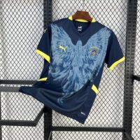 Fenerbahce 202425 Third Jersey Fenerbahce 202425 Third Jersey