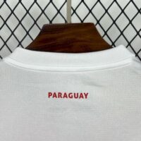 5d3cbd34bdf44319bcae1fa4ec81c6b3 Paraguay 202425 Home Jersey