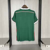 5e240bdac62a41cdb2738e0d3416079b Retro Palmeiras 2014 Centennial Edition Green