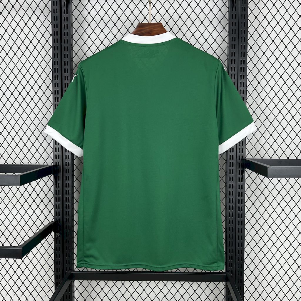 5f416c292bed4929ae1d7d0162c1b0f8 Palmeiras 2025-26 Home Jersey