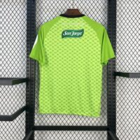 CD Palestino 2025-26 Light Green Jersey