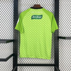 CD Palestino 2025 26 Light Green Jersey