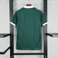 Plymouth Argyle F.C. 2025-26 Home Jersey