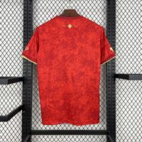 67a6f49851d64323acc9fbd381cec95a Spain 202425 Red special edition Jersey