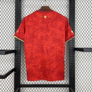 Spain 202425 Red special edition Jersey - Image 3