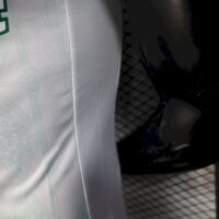 Palmeiras 2025-26 Away Jersey Player Version