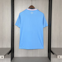 68d8b10ca8d84a23bf84b9aa98bbf9c6 2025-26 Miami III Jersey