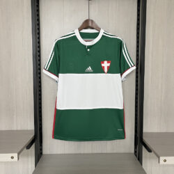Retro Palmeiras 2014 Centennial Edition Green