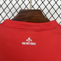 73e8440de6614f14b1bddfb6af90948f Lille OSC 2025-26 Home Jersey