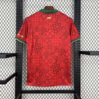 84119e78690a42e294bd6916ead5f79a Portugal 202425 Red special edition Jersey