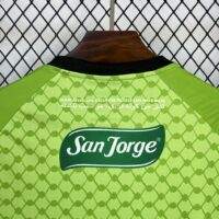 CD Palestino 2025-26 Light Green Jersey