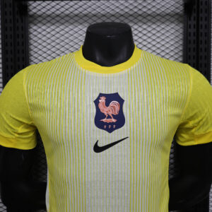 France 2025 26 Leaked Goalkeeper Jersey Player Version