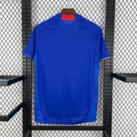 977fb085a55f4baa84edb149d9e3fae7 Japan 2010 Home Retro Jersey