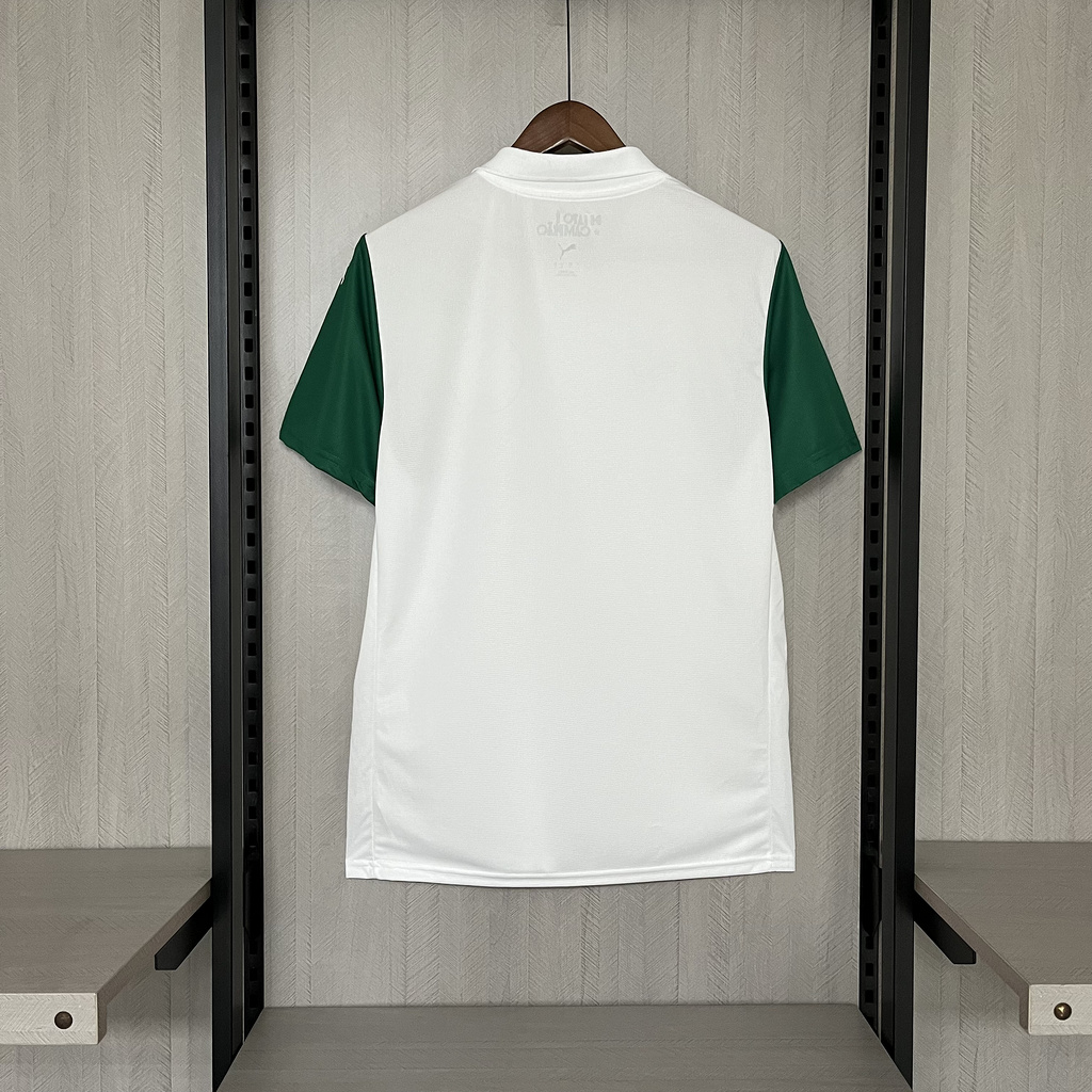 99464d0190e54ef4b9a811db3a0a64e6 2025-26 Palmeiras away jersey