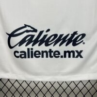 a4267bc2e2f841d0beed502380a24565 Pumas UNAM 2025-26 Home Jersey