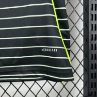 Celtic 2025-26 Away Jersey
