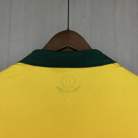 Retro Centennial Special Edition Palmeiras 2013 III