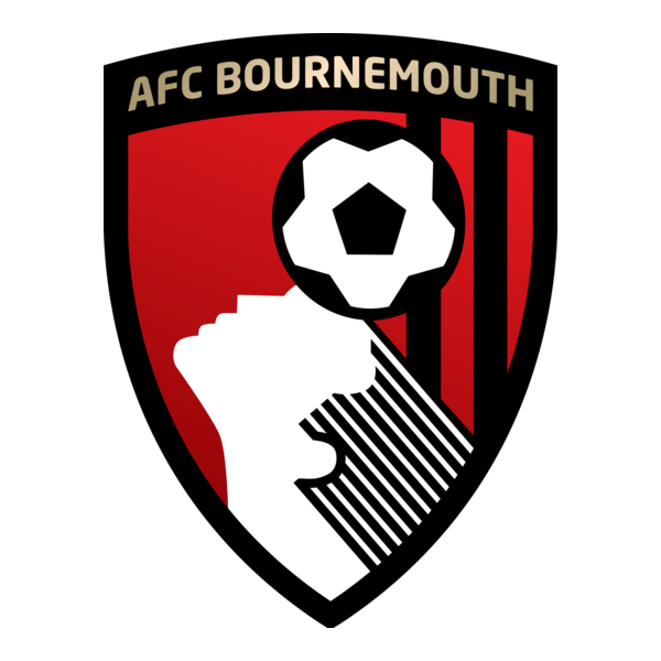 Home Main 138 Bournemouth