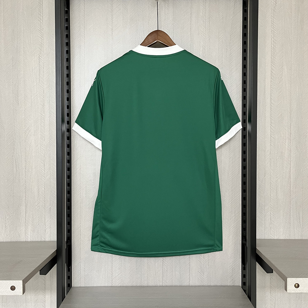 2025-26 Palmeiras home jersey