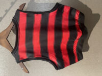 b8d34e4aee6c4bf2903d481a722fb0a7 2025-26 Flamengo Women' Football Yoga Vest