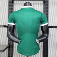 b9d8ae8400f844349533ff8c39daf740 Palmeiras 2025-26 Home Jersey Player Version