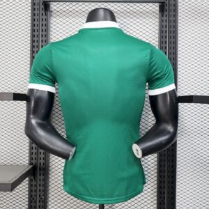 Palmeiras 2025 26 Home Jersey Player Version