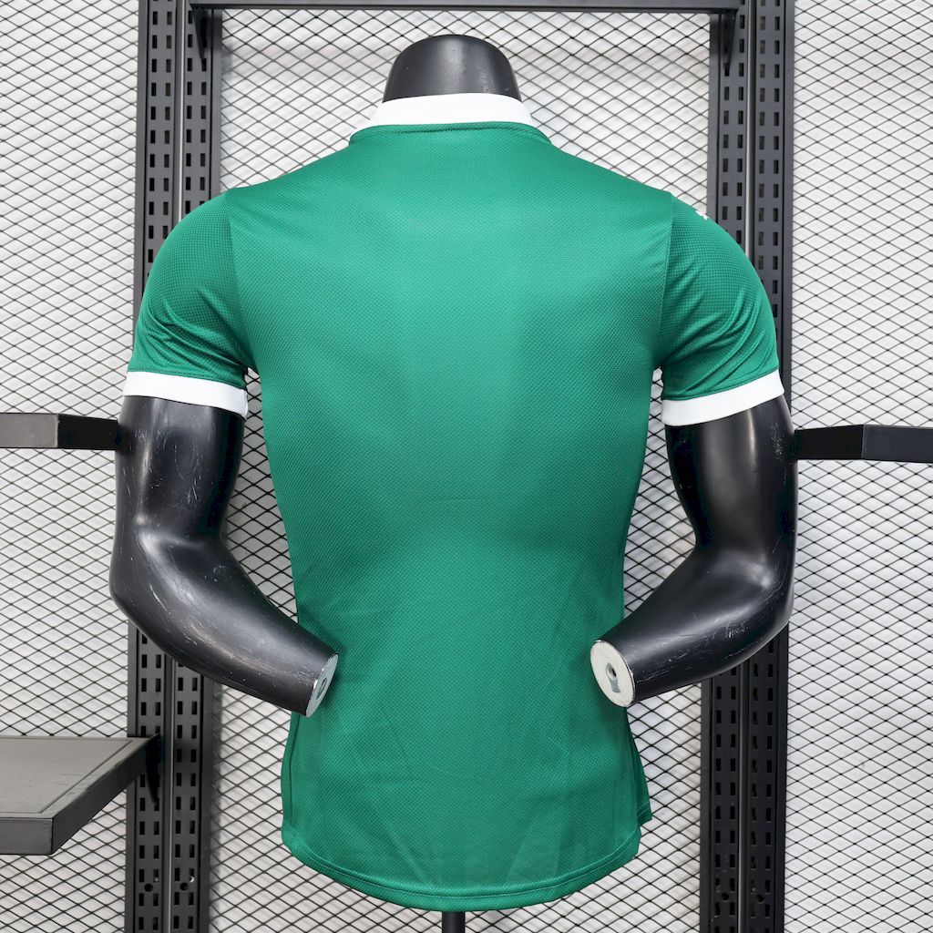 b9d8ae8400f844349533ff8c39daf740 Palmeiras 2025-26 Home Jersey Player Version