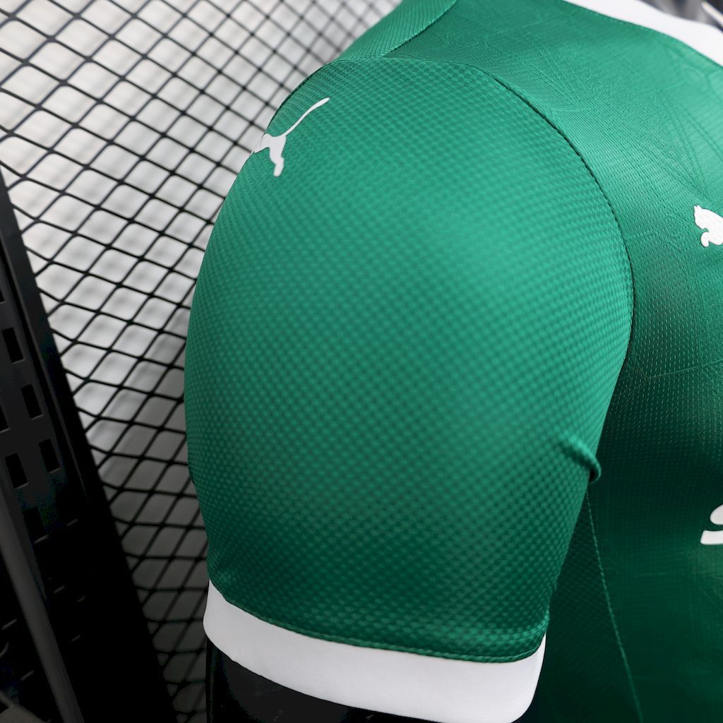 ba6534b8234b4933ac1fee9aafc2a3a3 Palmeiras 2025-26 Home Jersey Player Version