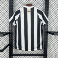bc5e0f520d8b4a3d97e49326715589d3 Santos 202425 Away Jersey