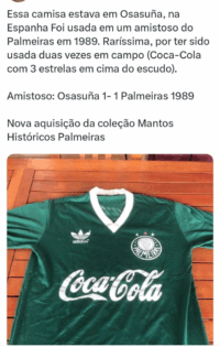 Retro 1989 Palmeiras home jersey