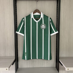 Retro Palmeiras 1993 commemorative home