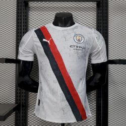 Manchester City 2025-26 Away Jersey Player Version