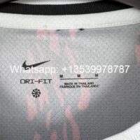 cae675c60c034d5d8f2a0f3194469a46 Barcelona 202425 Red Lion Jersey