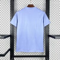 ce11e6b006244a88985e4df3aa49074a Brazil 2025-26 Light purple Jersey