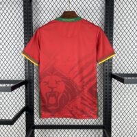 Cameroon 2025-26 Away Jersey