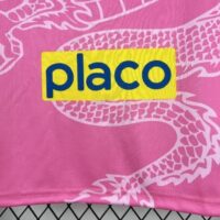 d7de41b86e5b43c3b77fce0ecf59d536 Santos 2025-26 Pink Dragon Special Edition Jersey
