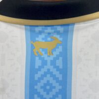Argentina 202425 Special Edition Jersey